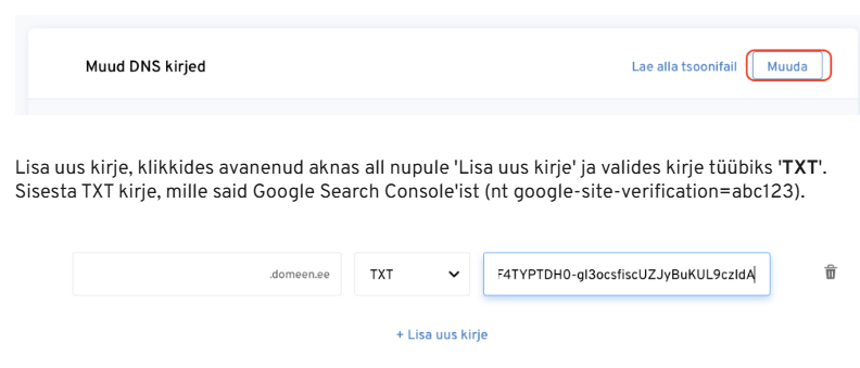 veebimajutuse DNS kirje