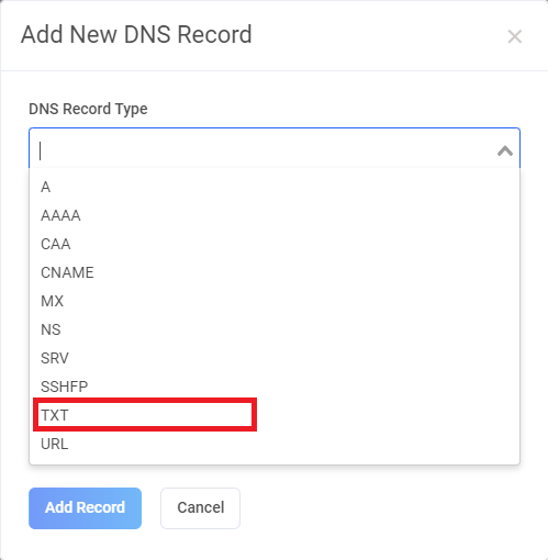 Choosing TXT as record type
